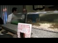 Super Fresh Sushi - Very Graphic