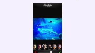 Afterlight – video review