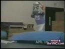 RECOPILACION DE VIDEOS DE CAIDAS DE MASCOTAS Y PEQUEÑOS ACCIDENTES...