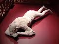 Pompeii: Tales From An Eruption