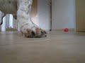 Playtime Playtime