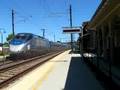 Acela Express Doppler Effect