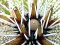 The Visayas, Philippines - YouTube
