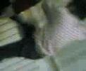 canakan ve g�kay