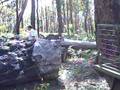 videos de king jarrah