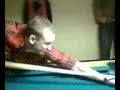BEST POOL PLAYING TECHNIQUE