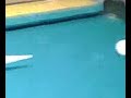 BEST POOL PLAYING TECHNIQUE