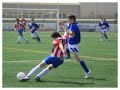 partit celra-bisbalenc partit celra-bisbalenc