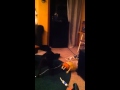 Shmeagle barkin at nothing