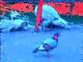 fet-fitta.html