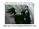 videos de Equine Training Teleseminar Series - starting Jan 2009