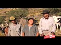 Vacas Felices I (especial productos orgánicos)