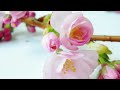 Что происходит на свете? А просто ВЕСНА.avi