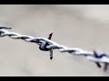 auschwitz birkenau  campo nazi alemán de concentración 