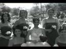 Wedding Highlights