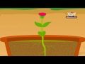 Learn about Plants in Hindi - Different Parts