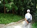 Chinese Jingle Bells-heard during my sightseeing in Shanghai