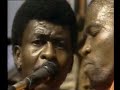 african concert - graceland -live in africa