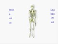 Human body functions.