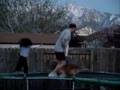 Jumping Wookie