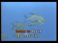 KARAOKE - Christina Aguilera - The Voice Within