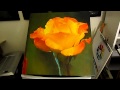 DEMO -Texture to Giclee Print