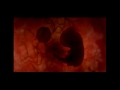 Life In The Womb Part 1