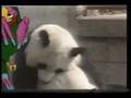 Waku Waku intro