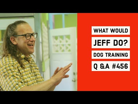 Stop dog reactivity | Dog ecollar training tips | What Would Jeff Do? Dog Training Q & A #456