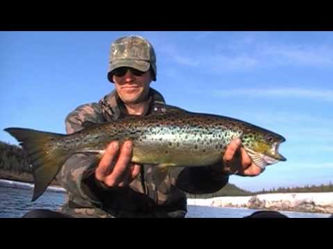 La pêche en eau douce sur la Côte-Nord