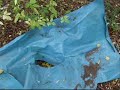 Morso 03 video.wmv