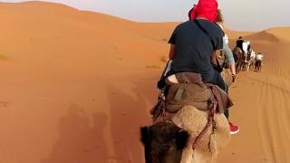 Plimbare cu Camile Desertul Sahara I