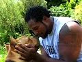 lamon-brewster-antidogfighting.html
