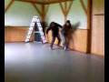 videos de VIDEO_082.mp4