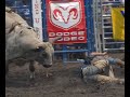 Chester Wild West Rodeo