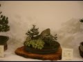 Exhibición de Bonsai Luis Takehara Exhibición de Bonsai Luis Takehara