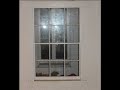 WHALEY HOUSE GHOST PHOTOGRAPH WHALEY HOUSE GHOST PHOTOGRAPH