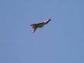 F4D Skyray F4D Skyray