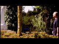 Sepp Scherer - Ave Maria