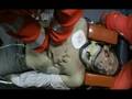 videos de Spot 