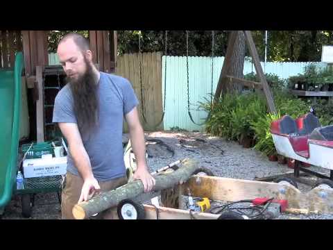 how to grow shiitake mushrooms