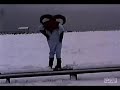 Reala Reel