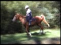 Trail Ride Trail Ride