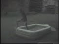 60 ft. slip n` slide with a ramp 60 ft. slip n` slide with a ramp