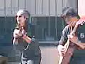 Los Gansos Rosas!