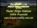 Pastor Malinoa Quila en Venta www.bracanpuebla.com.mx