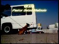 Pastor Malinoa Quila en Venta www.bracanpuebla.com.mx