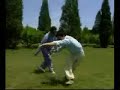 Chen taichi free-style push-hand