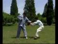 Chen-taichi-free-sty