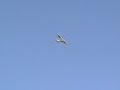 Super Cub Sustained Inverted Flight